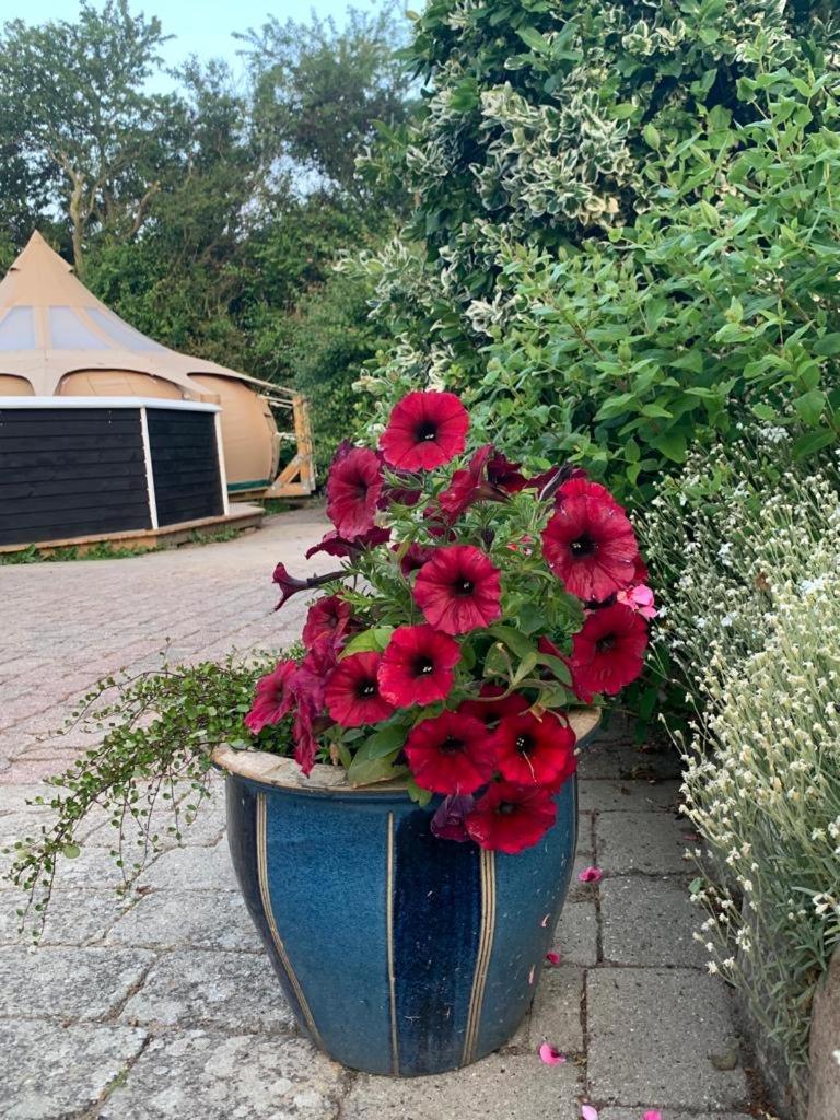 Romantic Luxus Glamping 1 Idestrup Bagian luar foto